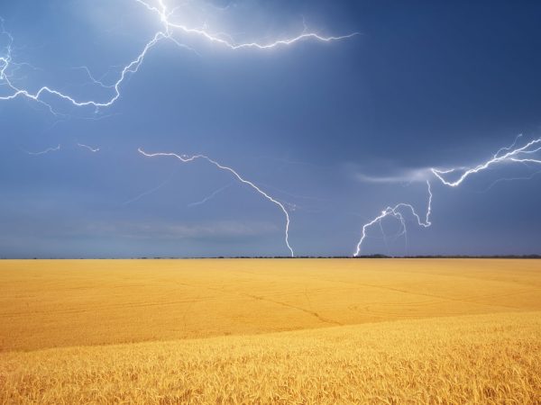 LP-Practitioners-Website-BackgROUND-5